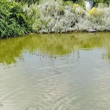 Domaine Le Lanis Chambre D'Hotes Piscine Spa Privatise Sur Reservation Saint-Girons  Exteriör bild