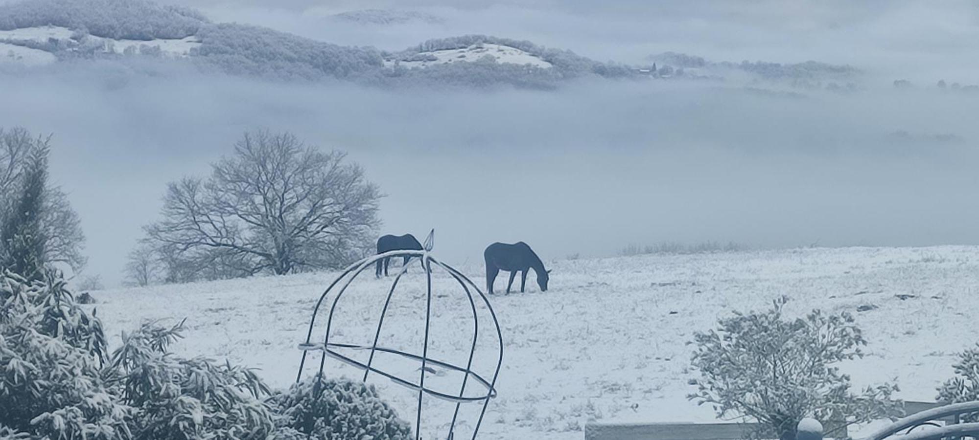 Domaine Le Lanis Chambre D'Hotes Piscine Spa Privatise Sur Reservation Saint-Girons  Exteriör bild
