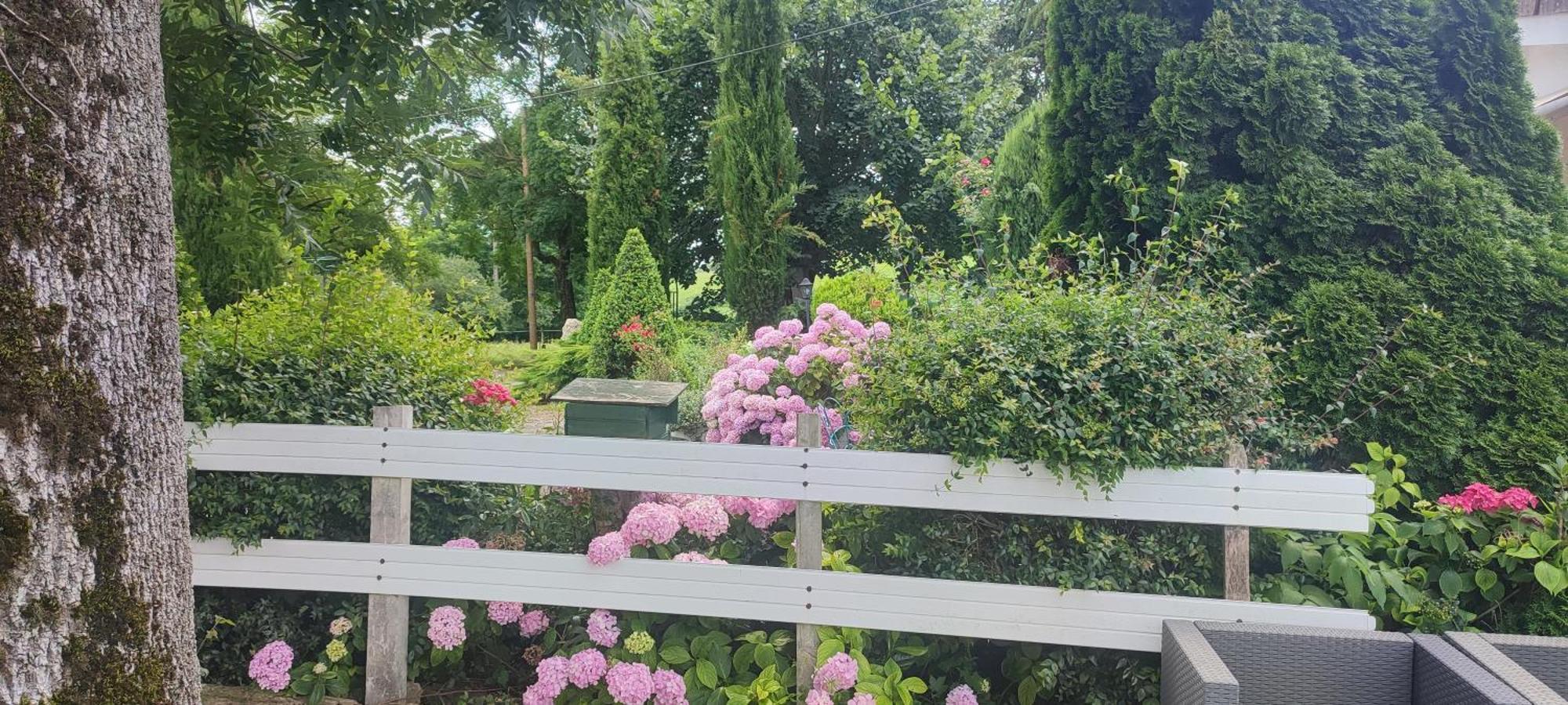 Domaine Le Lanis Chambre D'Hotes Piscine Spa Privatise Sur Reservation Saint-Girons  Exteriör bild