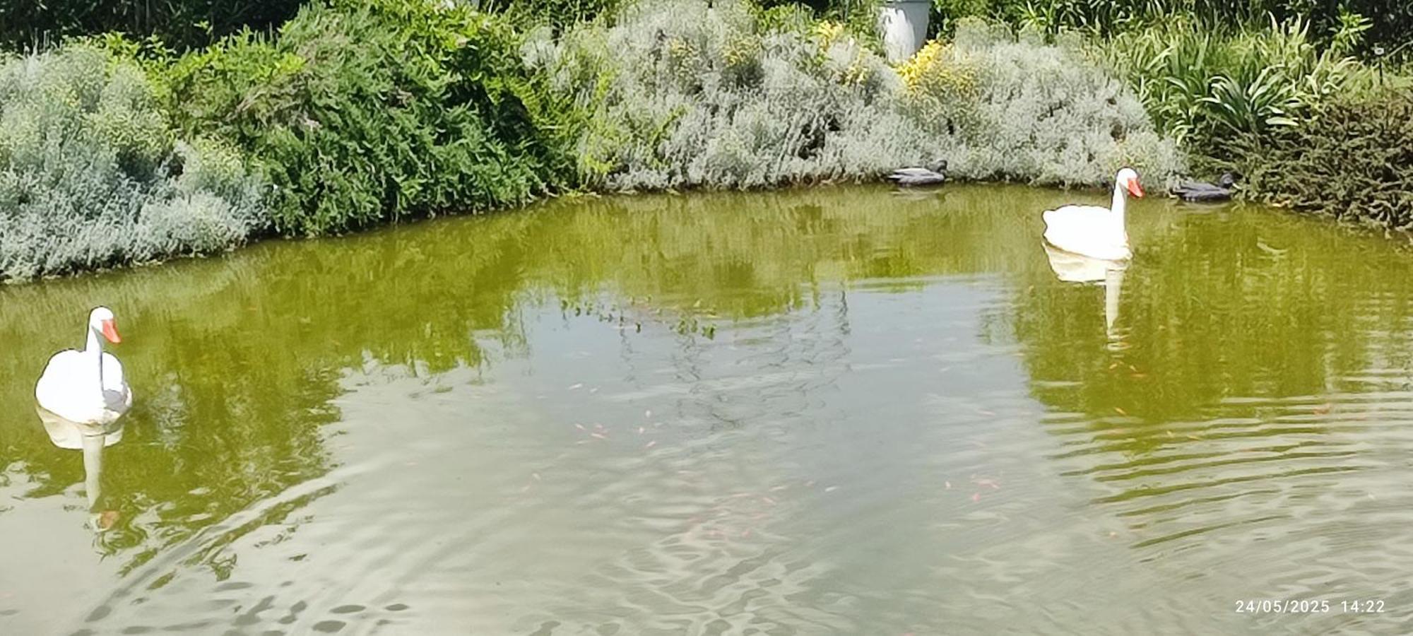 Domaine Le Lanis Chambre D'Hotes Piscine Spa Privatise Sur Reservation Saint-Girons  Exteriör bild